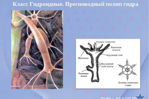 Кракен онлайн магазин